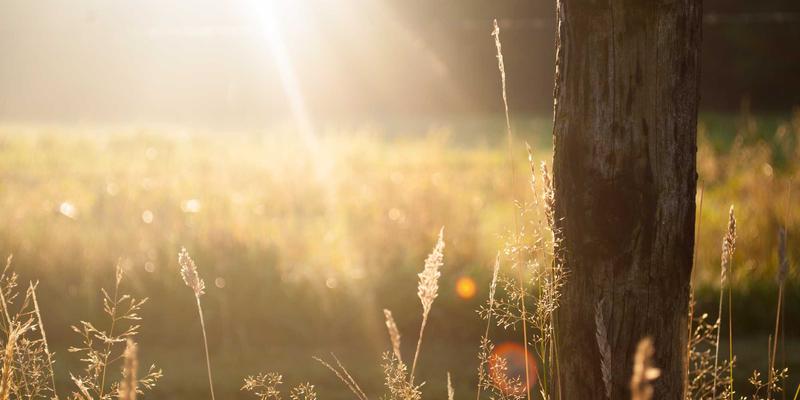 从精密零件到自动化产线：构建工业设备全生命周期健康管理平台的战略路径