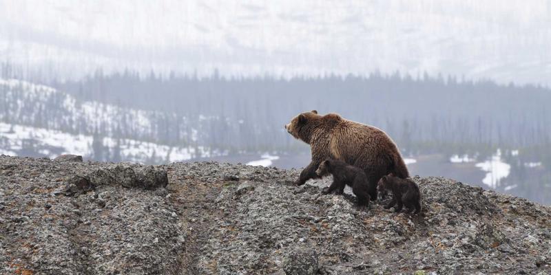 工业4.0浪潮下的金属加工变革:自动化设备如何重塑精密零件制造