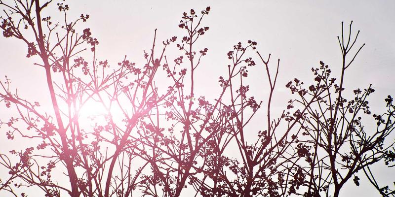 工业制造4.0时代：机械加工与金属加工的智能化变革