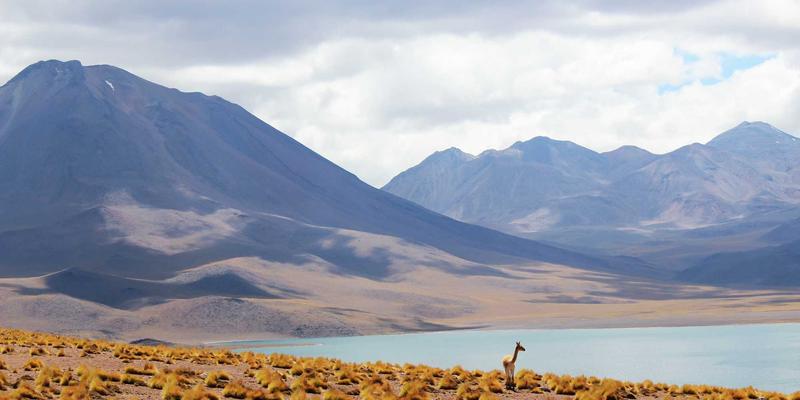 工业数据中台建设：打通CNC加工与自动化设备数据孤岛，赋能制造业智能决策