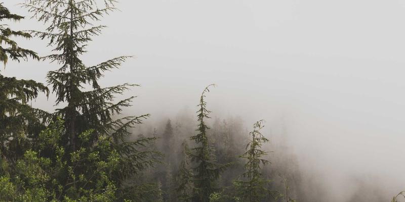 精密零件与机械加工如何赋能半导体封装？高精度伺服系统与运动控制的核心作用