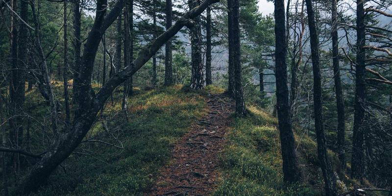 自动化设备：驱动工业制造转型升级的核心引擎