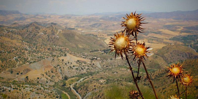 边缘计算如何赋能制造业精密零件CNC加工实时视觉检测？