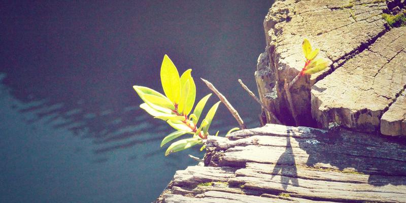 金属加工与精密零件制造:驱动现代工业制造的核心引擎